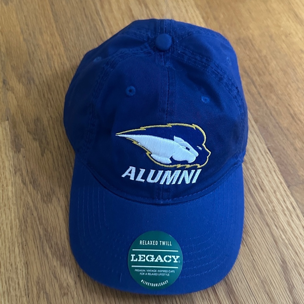 🆕 LEGACY HOFSTRA Royal Blue University Mascot Alumni Adjustable Hat Fan - Picture 2 of 4